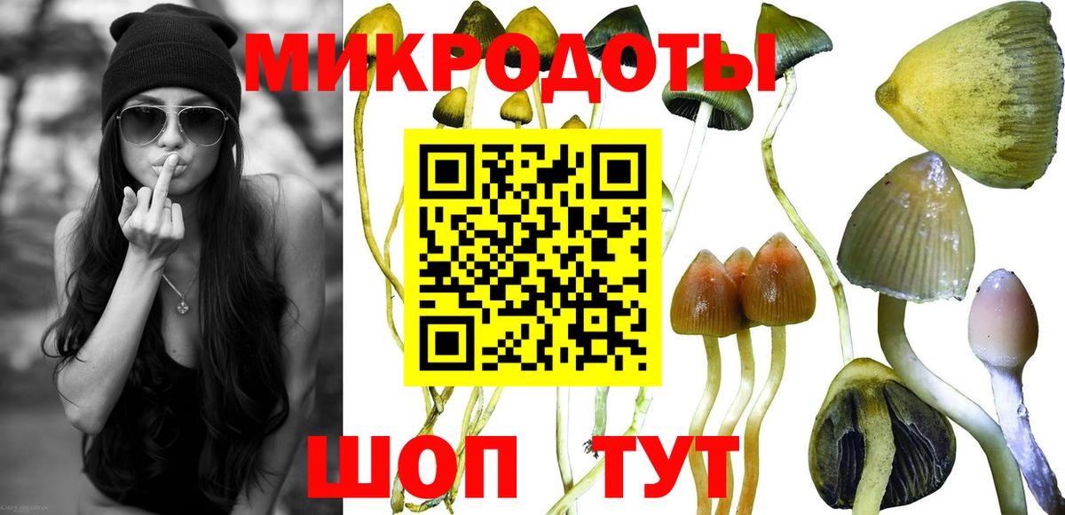 где купить наркотик  Псилоцибиновые грибы Psilocybe  Вход с VPN  Первоуральск  Псилоцибиновые грибы Cubensis 